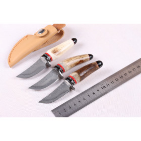 Wild Antlers Deer Horn Damascus small collection knife UD402065